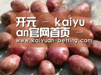 产品展示标题5