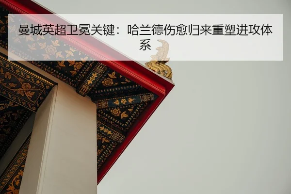 man-cheng-ying-chao-wei-mian-guan-jian-ha-lan-de-shang-yu-gui-lai-zhong-su-jin-gong-ti-xi-2-264.jpg