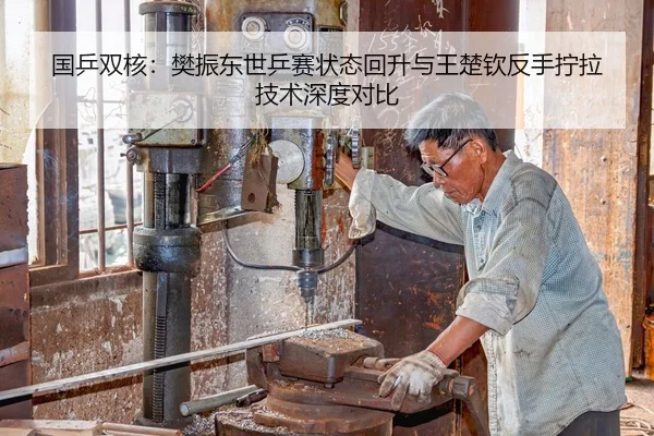 国乒双核：樊振东世乒赛状态回升与王楚钦反手拧拉技术深度对比