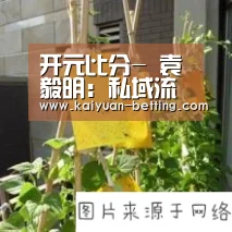 开元比分-
袁毅明:私域流量是什么意思 私域流量的利益 私域流量乐成案例有哪些?(图1) 开元赛事